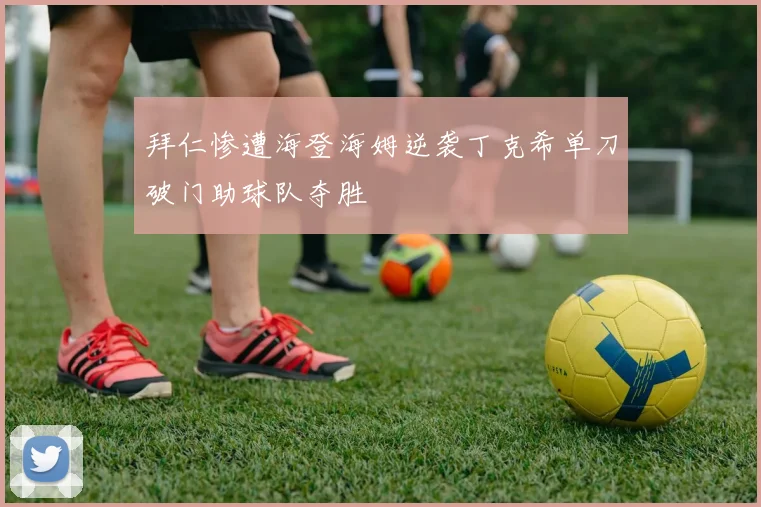 拜仁惨遭海登海姆逆袭丁克希单刀破门助球队夺胜