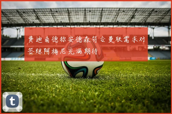 费迪南德称安德森符合曼联需求对签琼阿梅尼充满期待
